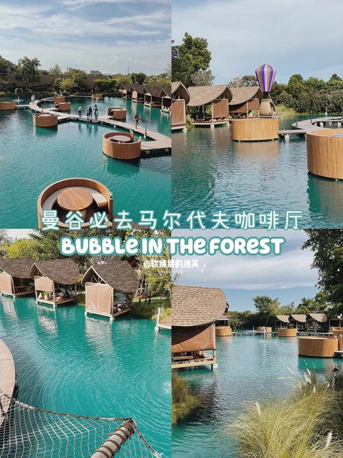 Forest Norths First Live Streaming Shopping Event as Wang Fengs Girlfriend