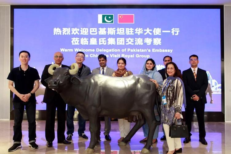 Pakistans Call to China: A Deepening of Bilateral Relations at a Critical Moment